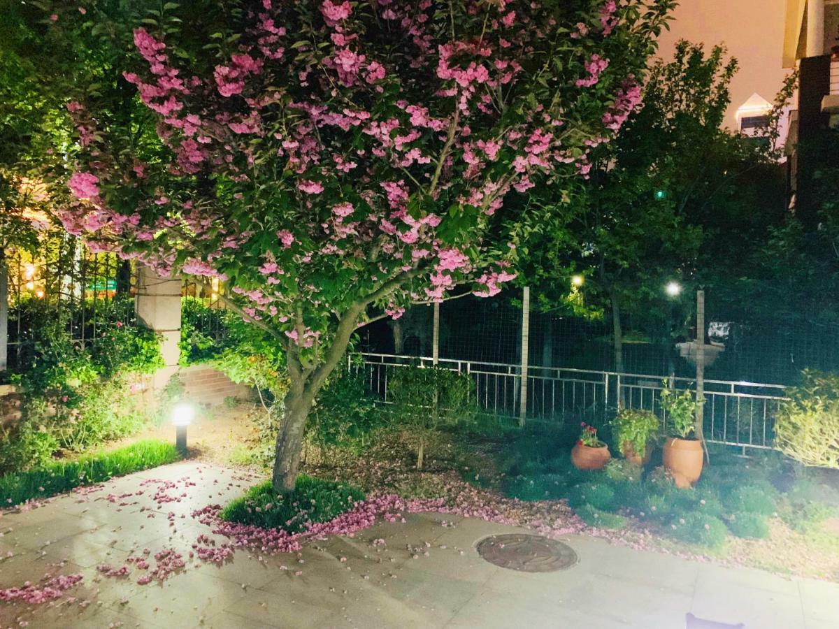Floral Hotel - Begonia Villa Čching-tao Exteriér fotografie